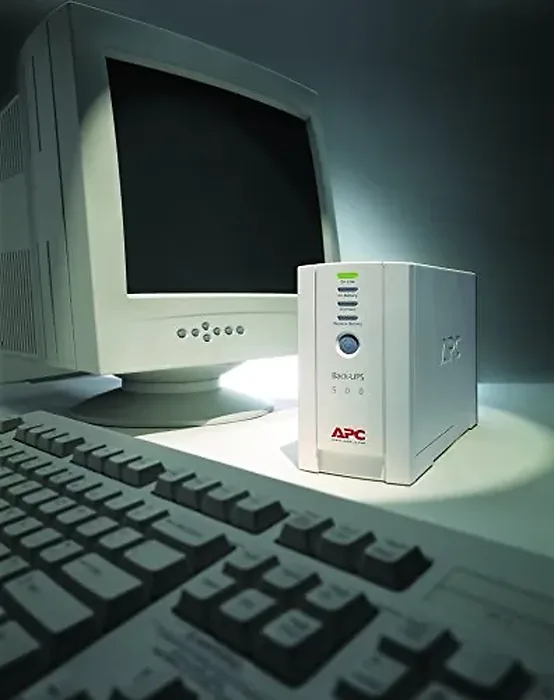 APC - Schneider Electric-BK500EI