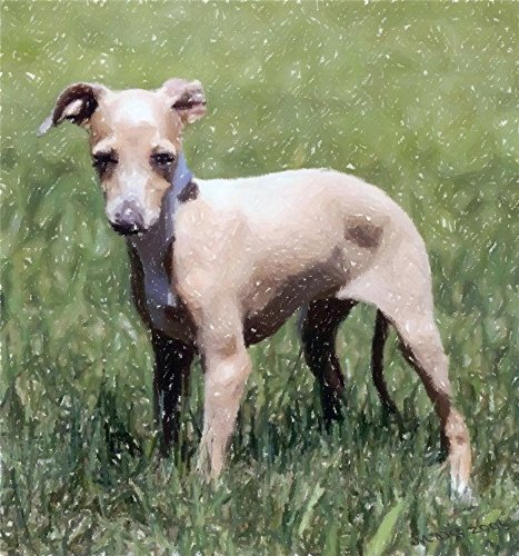 LINK DEPOT HS-6 - HDMI CABLES - 19 PIN HDMI TYPE A - MALE - 19 PIN HDMI TYPE A