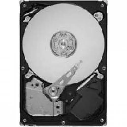 SEAGATE ST31000340NS - Seagate TDSourcing Barracuda ES.2
