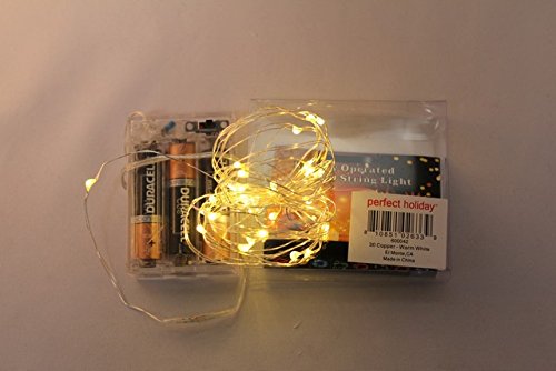 Home Locomotion 12010737 - 30 Led Copper String Light Warm White