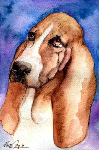 HP C9700A — HP C9700A Black Print Cartridge for Color LaserJet 1500/2500