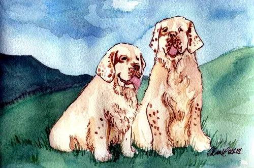 HP C9701A — HP C9701A Toner Cartridge for Color Laserjet 1500 and 2500 Series - 4,000 Pages - Cyan