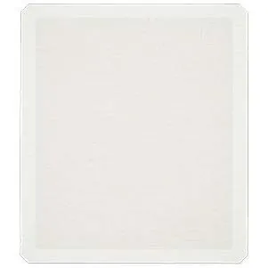 EPSON C13S210076 — EPSON F2100 MEDIUM GRIP PAD