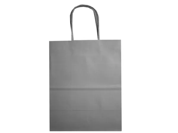 Bulk Buys DC204 — Elegant Small Gray Gift Bag for Every Occasion