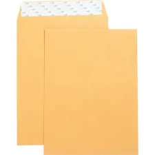 Business Source BSN 42120 — Business Source Self Adhesive Kraft Catalog Envelopes - Catalog - 9 Width x 12 Length - 28 lb - Self-sealing - Kraft - 250 / Box - Brown Kraft
