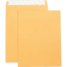 Business Source BSN 42121 — Business Source Self Adhesive Kraft Catalog Envelopes - Catalog - 10 Width x 13 Length - 28 lb - Self-sealing - Kraft - 250 / Box - Brown Kraft