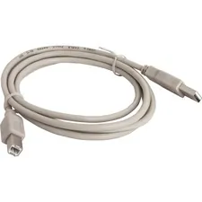 Compucessory CCS 11150 — Compucessory USB 2.0 A-B Printer Cables - 6 ft USB Data Transfer Cable - First End: 1 x Type A Male USB - Second End: 1 x Type B Male USB - Gray - 1 Each