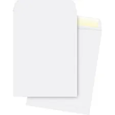Business Source BSN 42103 — Business Source 28 lb. White Catalog Envelopes - Catalog - #13 1/2 - 10 Width x 13 Length - 28 lb - Gummed - Wove - 250 / Box - White