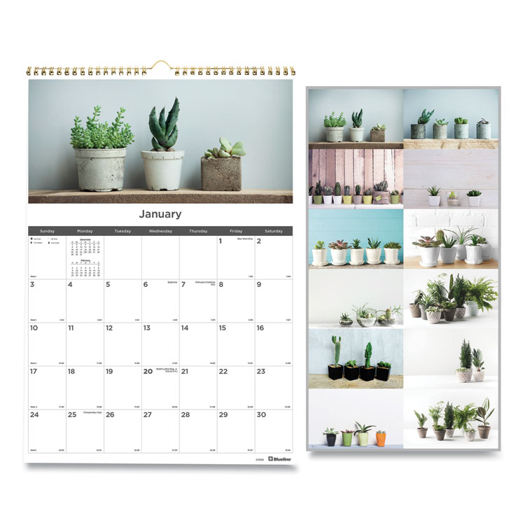 REDIFORM OFFICE PRODUCTS C173121 - CALENDAR,2021,SUCCULENT