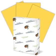 INTERNATIONAL PAPER HAM 103168CT — International Paper Paper for Copy 8.5x11 Copy & Multipurpose Paper - Gold - Recycled - 30% - Letter - 8 1/2 x 11 - 20 lb Basis Weight - Smooth - 5000 / Carton - FSC