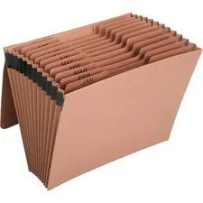 National Industries For the Blind 7530016819894 — SKILCRAFT Letter Recycled Organizer Folder - 8 1/2 x 11 - 12 Pocket(s) - Kraft - Brown - 1 Each