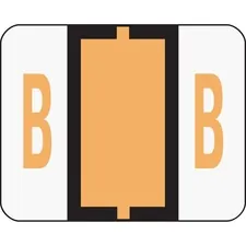 SMEAD MANUFACTURING CO. SMD 67072 — Smead BCCR Bar-Style Color-Coded Labels - Alphabet - 1 1/4 x 1 Length - Light Orange - 500 / Roll - 500 / Roll