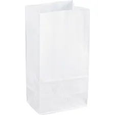 Sparco SPR 99828 — Sparco White Kraft Paper Bags - 6 Width x 11 Length - White - Paper - 100/Pack