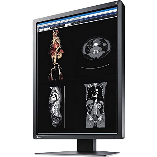 EIZO MX216-BK - 21.3IN LED 1600X1200 MX-SERIES