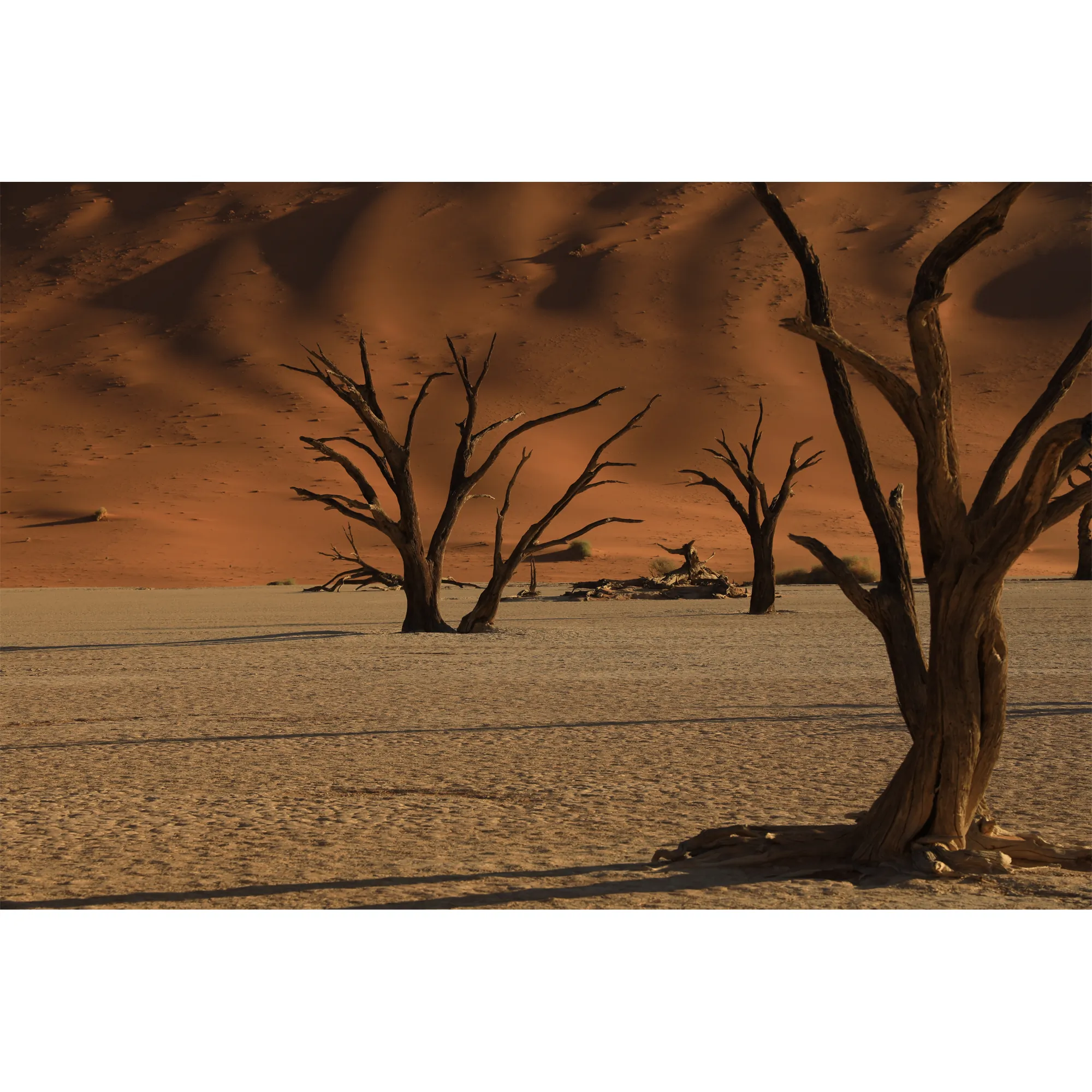 CANON 2963C002 — CANON RF 24-105MM F/4 L IS USM LENS