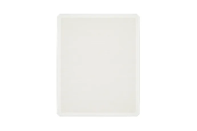 EPSON C13S210075 — EPSON F2100 LARGE GRIP PAD