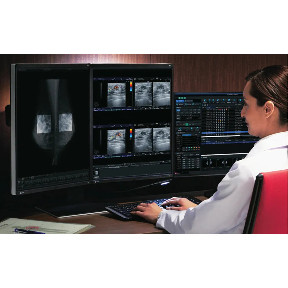 EIZO RX560-BK - 21.3 LED Monitor - 2560x2048 Resolution, 1500:1 Contrast