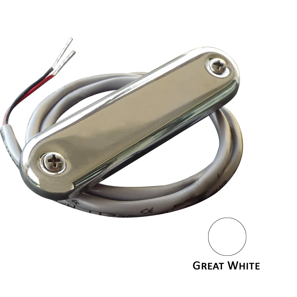 Shadow-Caster LED Lighting SCM-CL-GW-SS-4PACK — Shadow-Caster Courtesy Light w-2' Lead Wire - 316 SS Cover - Great White - 4-Pack