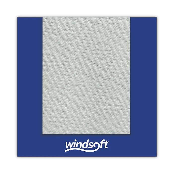 WINDSOFT-418231