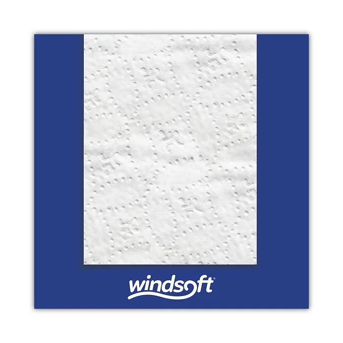 WINDSOFT-418230
