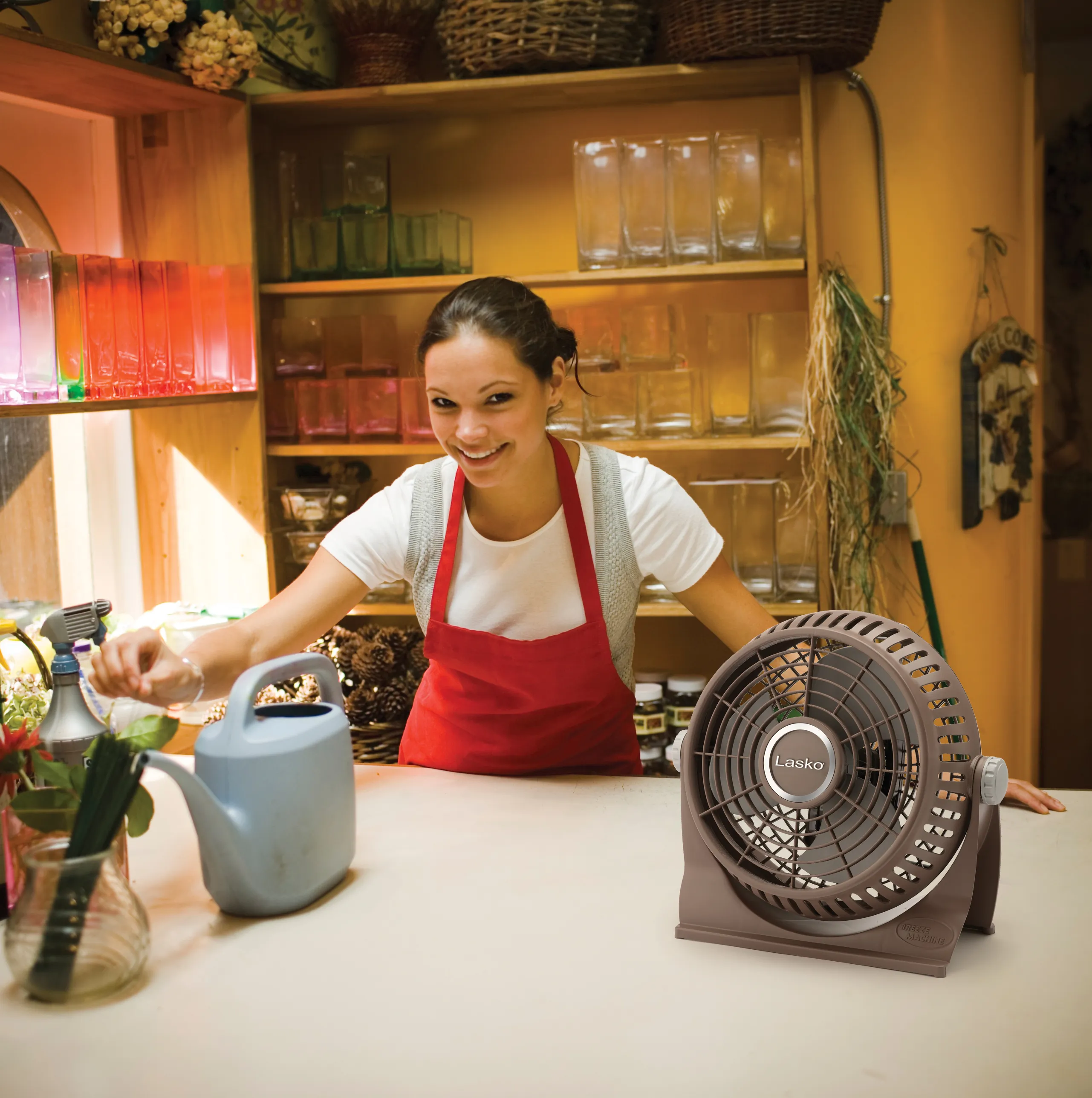 Lasko 505 — Compact 10-Inch Breeze Machine Fan in Brown