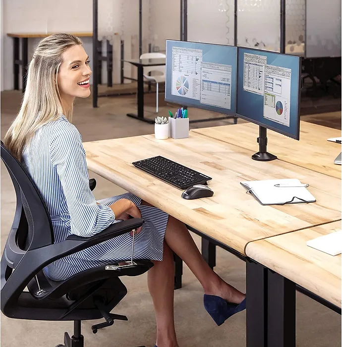 FELLOWES-8502601