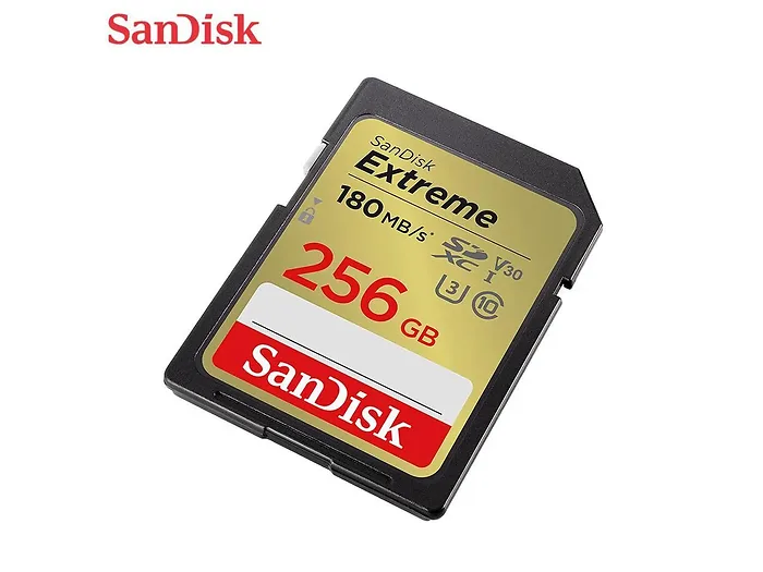 Western Digital-SDSDXVV-256G-GNCIN