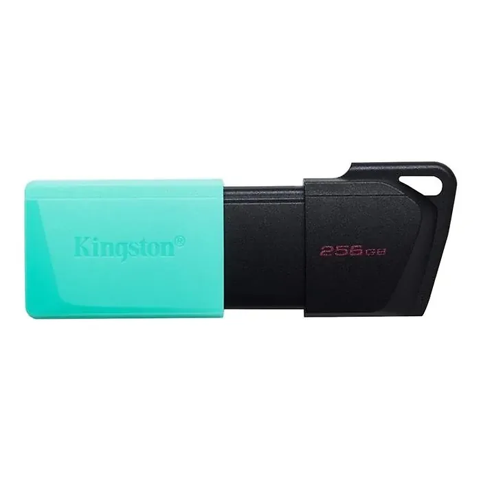 KINGSTON-DTXM/256GB