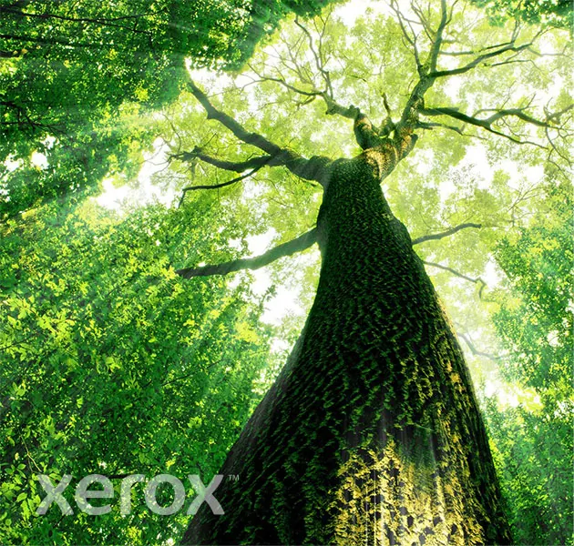 XEROX XER006R03638 — Everyday HP LaserJet Pro Mono Toner Cartridge CF226A