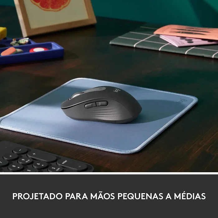 Logitech-910-006250