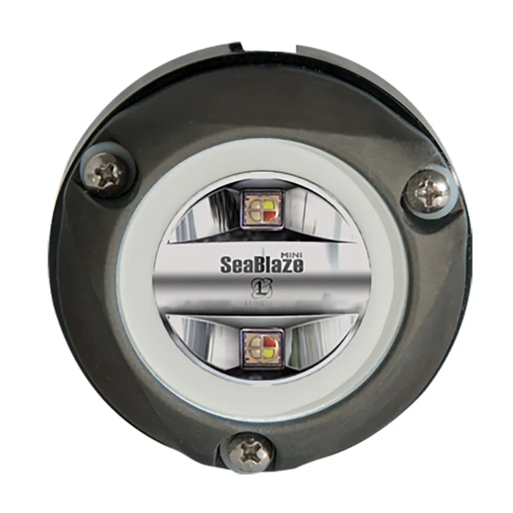 Lumitec 101833 — Lumitec Zambezi Mini Underwater Light - RGBW Spectrum