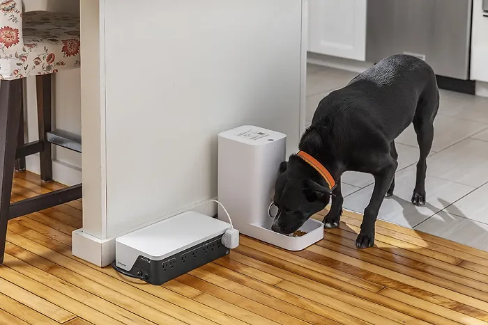 APC - Schneider Electric-BE1050G3