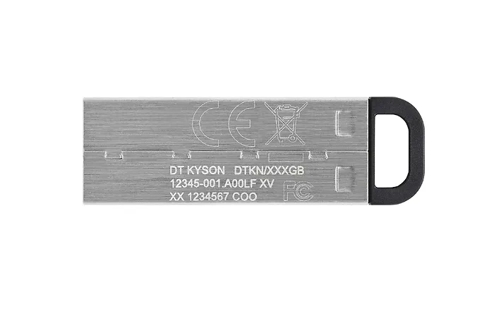 KINGSTON-DTKN/512GB