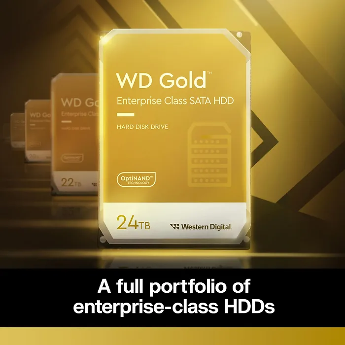 Western Digital-WD241KRYZ