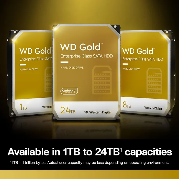 Western Digital-WD241KRYZ