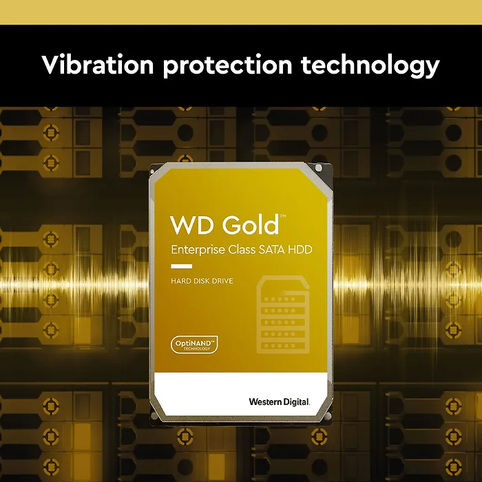 Western Digital-WD241KRYZ