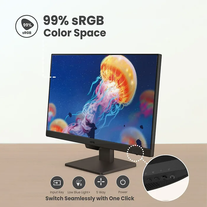 BENQ-GW2490