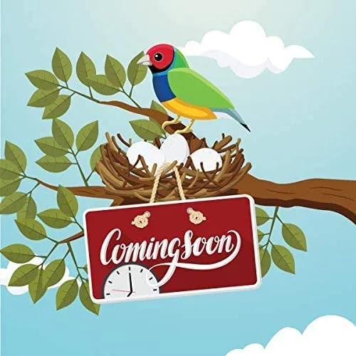 VIEWSONIC VB-BMS-001 - BALANCEBOX 400 Mobile Stand with Mixing Functionality