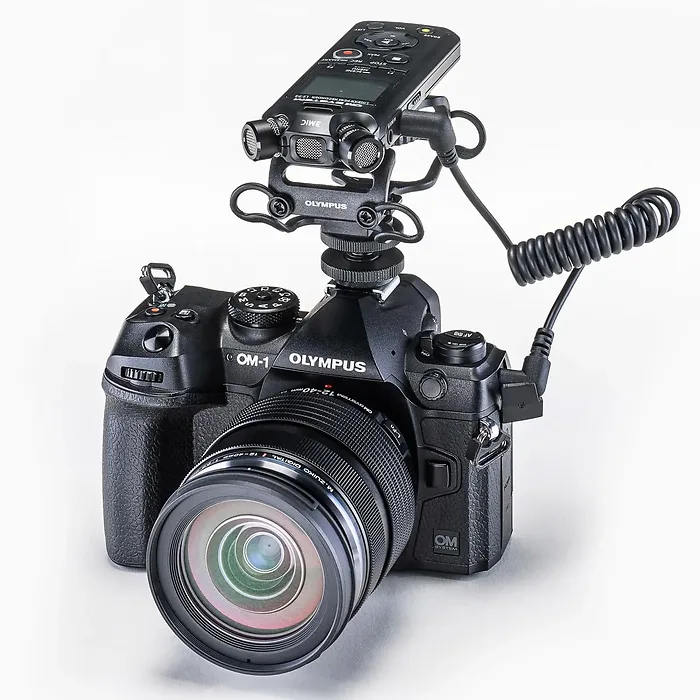 OM DIGITAL SOLUTIONS AMERICAS INC-V409180BG000