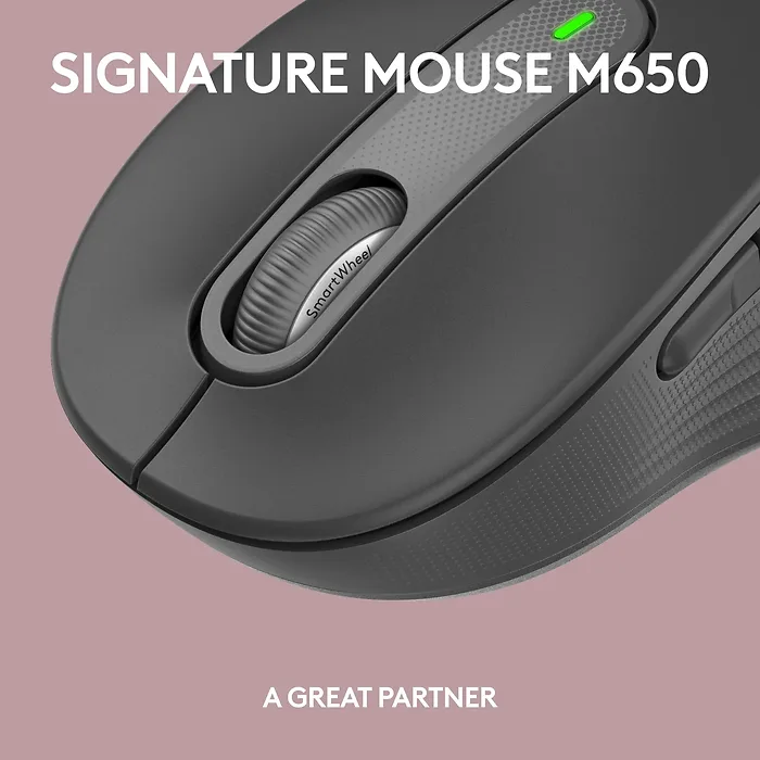 Logitech-920-012424