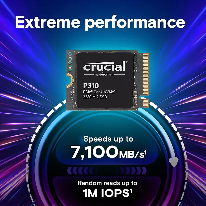 Crucial-CT1000P310SSD2