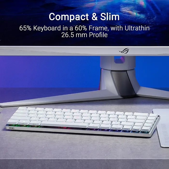 ASUS-M603 FALCHION RX LP/RLBL