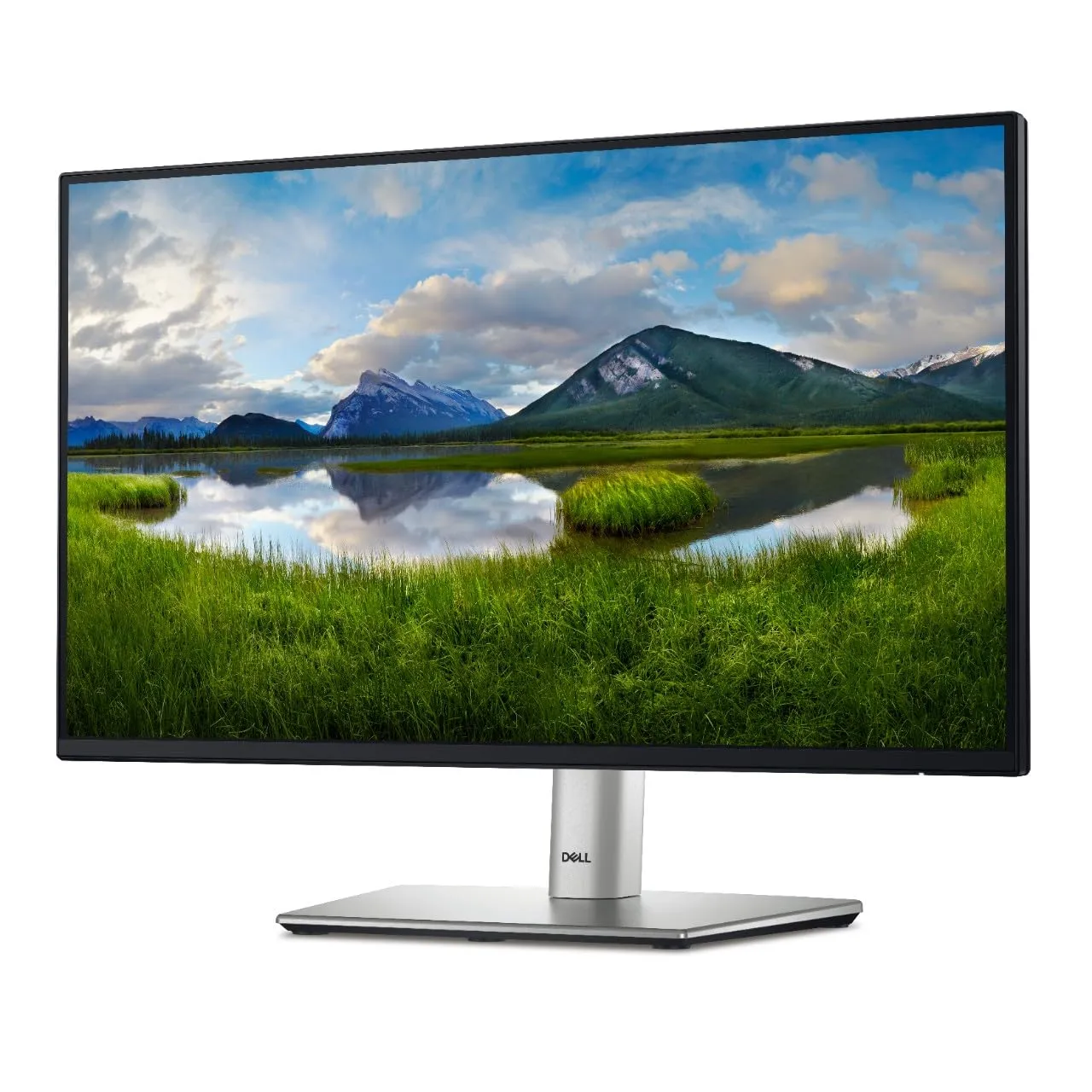 DELL DELL-P2425 — DELL 24 MONITOR - P2425