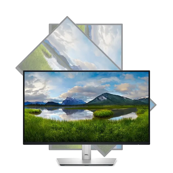 DELL-DELL-P2225H