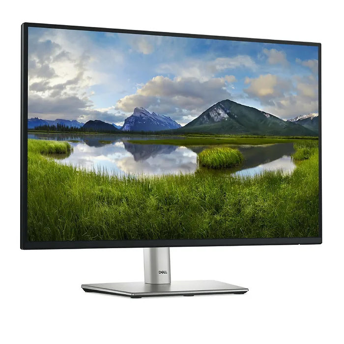 DELL-DELL-P2425E