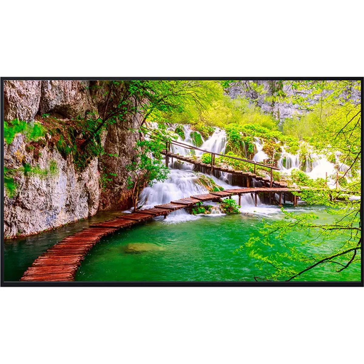 PANASONIC TH-43CQE2U - 43-Inch Ultra HD 4K LED LCD TV with Tuner