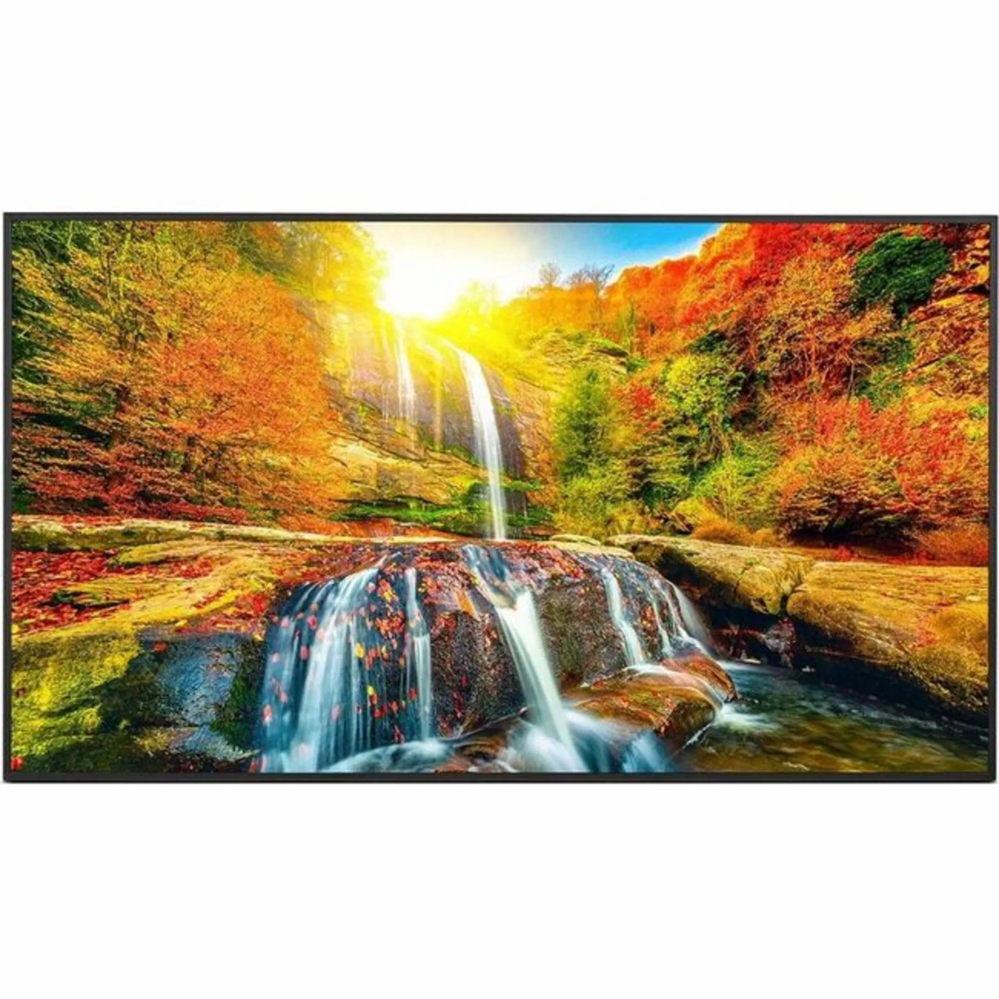 55-Inch 4K UHD LED LCD Monitor for 24/7 Use