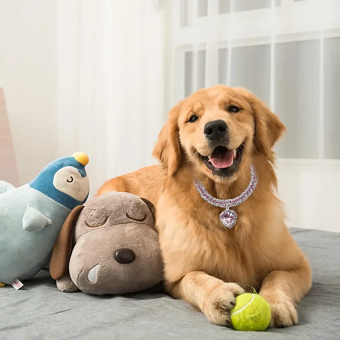 Vanco International-0002-1533