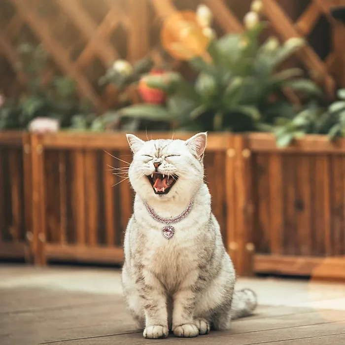 Vanco International-0002-1533