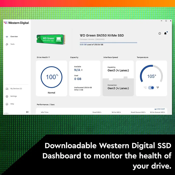 Western Digital-WDS250G2G0C